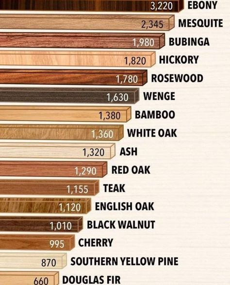 Rustic Cabins & Wood Decor | The hardness of various types of wood . | Facebook Different Types Of Furniture Wood, Wood Types Chart, Architectural Drafting, Different Woods, Lumber Sizes, Wood Colours, Pallet Projects Garden, Types Of Timber, Rustic Cabins