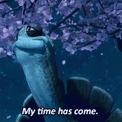 Master Oogway, Kung Fu Panda, Kung Fu, Fish Pet, Memes, Funny, Animals