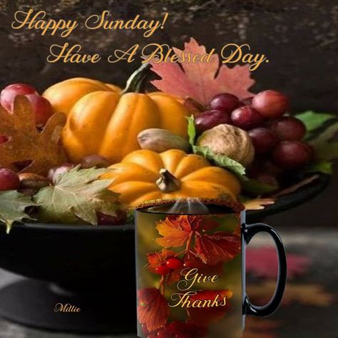 Happy Thanksgiving Weekend, Sunday Fall, Fall Sunday, Sunday Greetings, Morning Board, Thanksgiving Weekend, Evening Greetings, Aesthetic Roses, Days And Months