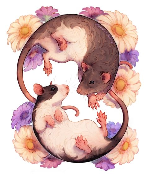 Rat Illustration, Rat Art, Creation Art, Cute Rats, Creature Drawings, Dessin Adorable, Animal Sketches, Arte Animal, Cute Animal Drawings