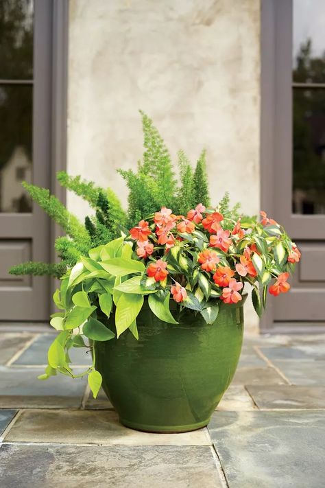 35 Heat-Tolerant Container Gardens For Sweltering Summers Container Plants For Full Sun And Heat, Mixed Flower Pots, Full Sun Container Plants, Patio Flower Pots, Heat Tolerant Plants, Patio Container Gardening, Plants Stand, Container Garden Ideas, Potted Geraniums