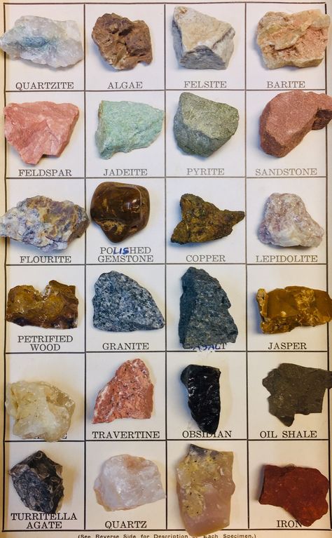 Rocks And Gems Identification, Beach Rocks Identification, Colorado Rocks And Minerals, Virginia Rocks And Minerals, Indiana Rocks And Minerals, Minnesota Rocks And Minerals, Washington State Rocks And Minerals, Cool Rocks And Minerals, Sedimentary Rocks Pictures