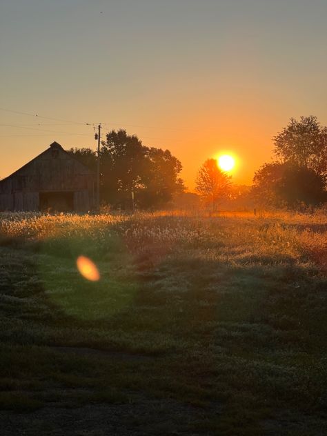 Sunset Farm Aesthetic, Sunset Feild Pic, Kent Core, Farm Sunrise, Sunflower Sunrise, Sunshine Painting, Sunset Sunflower, Farm Sunset, Sunrise Farm