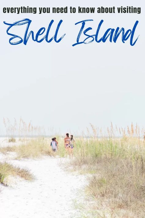 Blog Post Pin about Shell Island in Panama City Beach, Florida.  This pin has an image of four kids walking on a bath of white sand on Shell Island. Things To Do In Panama City Florida, Shell Island Florida, Panama City Beach Florida Things To Do, Shell Island Panama City, Shell Island Panama City Beach Florida, Panama City Florida, Shell Island, Florida Travel Destinations, Conservation Park Panama City Beach