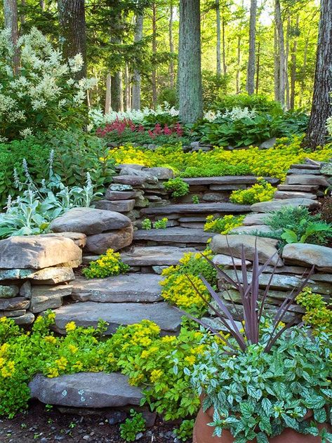 Hillside Landscaping Ideas Sloped Backyard Landscaping, Landscaping A Slope, Landscaping On A Hill, Sloped Yard, Hillside Garden, Sloped Backyard, Garden Stairs, Hillside Landscaping, Sloped Garden