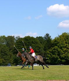 PennyWise: Polo: Picnic with the Ponies Polo Picnic, Equestrian Party, Budget Friendly Diy, Bucks County Pa, Bucks County, Life Is A Journey, My Town, Real Estate Services, Love Home