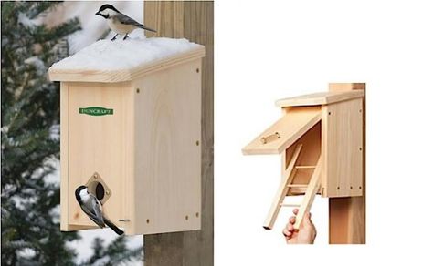 You aren't the only one looking to stay warm and safe during winter storms. Consider a roosting box to provide a haven for local birds. Shelter From The Storm, Bird House Feeder, Bird House Plans, Garden Animals, Pallet Garden, Winter Bird, Bird Boxes, Backyard Birds, Backyard Projects