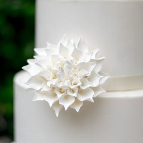 Unique Wedding Cake Topper, Wesley Chapel Florida, 4 Tier Wedding Cake, Unique Wedding Cake, Sugar Flowers Cake, White Dahlia, Wedding Cake Toppers Unique, Stock Flower, Open Rose