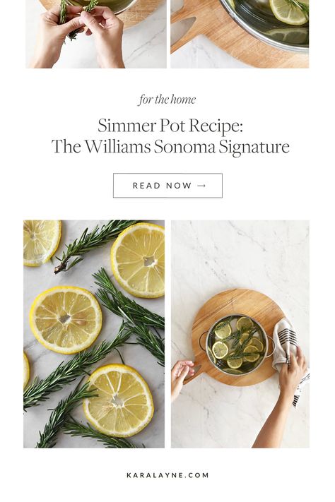 Williams Sonoma Smell, Smell Good Combo, Simmer Pot Recipes, Simmer Pot, House Smell Good, Lemon Rosemary, Home Smell, Stovetop Potpourri, House Smell