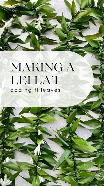 Lei & Floral Designs 🌺 by Brittanie C on Instagram: "Happy Aloha Friday! 🌺 I had a few requests asking how I add ti leaves into a maile style lei lā’ī, so I filmed little clips to send them but figured, why not make a reel for everyone 😅 SO please excuse my first voiceover and shaky videos 😬 👉 Tips not mentioned: - I am careful to keep my leaf cuts/diamonds the same width and length - I use fresh leaves for the inserts, and softened leaves for twisting - I generally make all my adult lei l How To Make A Lei, Flower Lei Diy, How To Make Leis, Diy Lei, Making Leis, Ti Leaf Lei, Lei Diy, Maile Lei, Wedding Lei