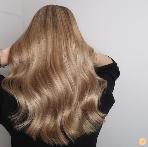 Warm Blonde Hair, Warm Balayage, Neutral Blonde, Blond Balayage, Brunette Balayage, Balayage Blonde, Warm Blonde, Honey Blonde Hair, Ash Blonde Hair