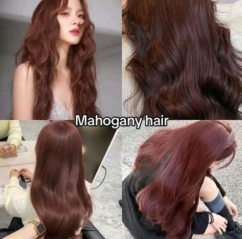 Check out our hair color board for more hair color ideas and hair color inspiration comment and follow for more Mahogany Hair Color, Bleach Hair Color, Hair Color Inspiration, Hair Color Mahogany, Mahogany Hair, Color Board, Perfect Skin Care Routine, Alternative Hair, Haircut And Color