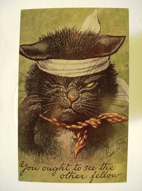 You  Ought to See the Other Fellow  Vintage Cat by KSTigerlily Pirate Look, Sailing Painting, Cat Artist, Vintage Pirate, Louis Wain Cats, Pirate Art, Cute Kawaii Animals, Cats Artists, Antique Postcard