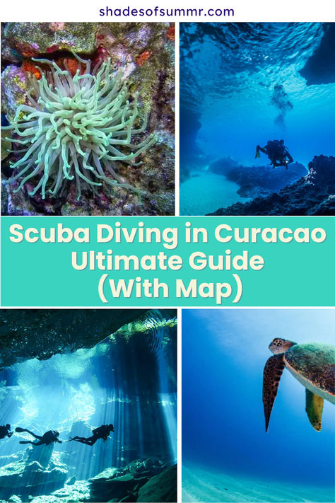 Are you planning on going Scuba diving in Curacao and need some more info? Then I got you covered!  Curacao is not as famous for diving as its little sister island of Bonaire, but there is still a lot to see underwater.  I have spent almost a year in Curacao recently, and I know all the ins and outs of diving in Curacao.  If you have some trouble planning your diving vacation in Curacao or finding the best dive resorts on the island or the most magical dive spots – then I got you covered! Curacao Vacation, Abc Islands, Island To Visit, Dive Resort, The Abc, I Want To Travel, Island Travel, Travel Goals, Travel Inspo