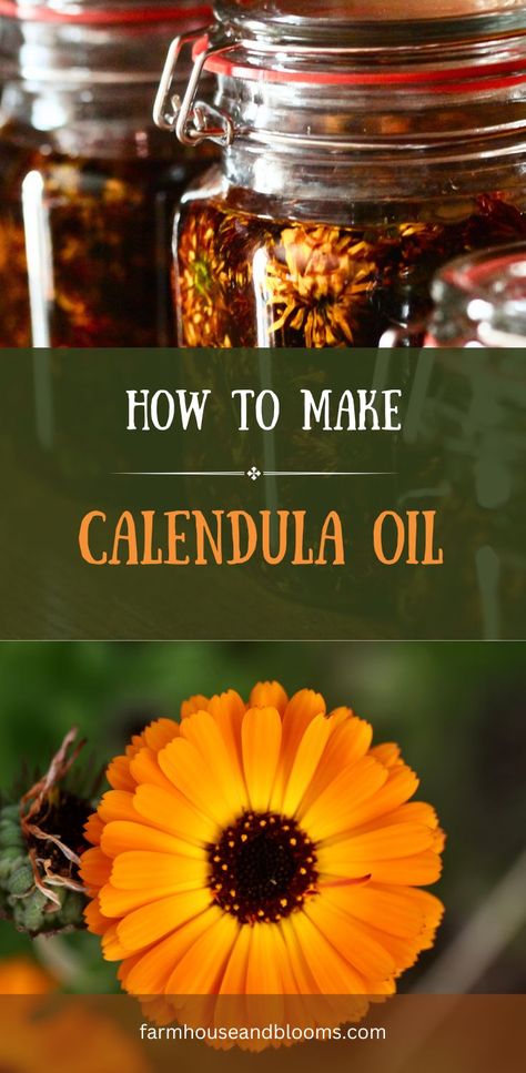 two pictures, one of calendula oil in jars, and one of a bright orange calendula flower Calendula Oil, Acne, Healing, Make It Yourself, Skin