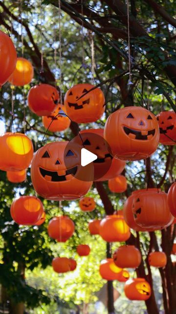 The Glenn House on Instagram: "Have you seen the pumpkin trees? 🎃🌳  Inspired by vintage Halloween and memories of trick-or-treating, the pumpkin trees have become a magical moment for children and passersby. 🧡  #pumpkins #pumpkin #halloween #halloweendecor #halloweeneveryday #halloweenhome #spooky #spookyseason #spookyhouse #october #jackolantern" Jackolanterns Hanging From Tree, Pumpkins Hanging From Trees, Hanging Pumpkins From Trees, Pumpkin Tree, Plastic Pumpkins, Outdoor Trees, Spooky House, Halloween Everyday, Trunk Or Treat