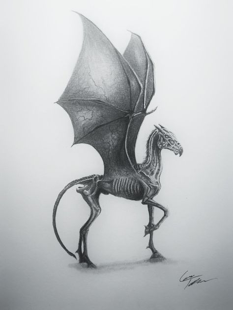 Harry Potter Drawing Ideas, Thestral Tattoo, Harry Potter Drawing, Harry Potter Creatures, Harry Potter Sketch, Up Story, Hp Tattoo, Harry Potter Art Drawings, Harry Potter Tattoos