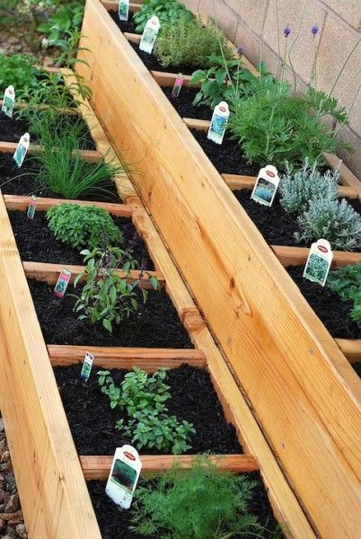 Raised Bed Herb Garden, Herb Bed, Chateau Garden, Raised Herb Garden, Raised Bed Garden Design, Small Vegetable Gardens, Diy Raised Garden, Budget Garden, Raised Garden Beds Diy