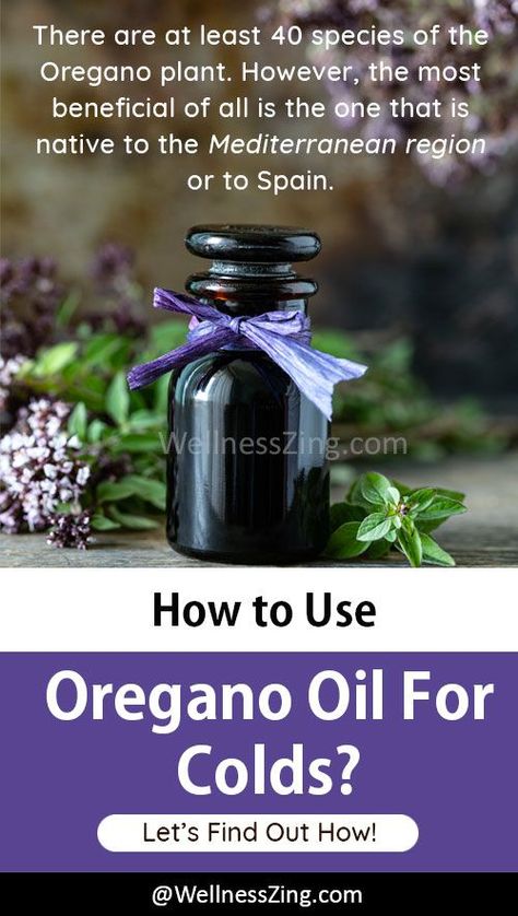 Oregano Oil For Colds, Oregano Oil Benefits, Oregano Plant, Fruit Recipes Healthy, Oregano Essential Oil, Essential Oils For Colds, Allergy Remedies, Immune System Boosters, Oregano Oil