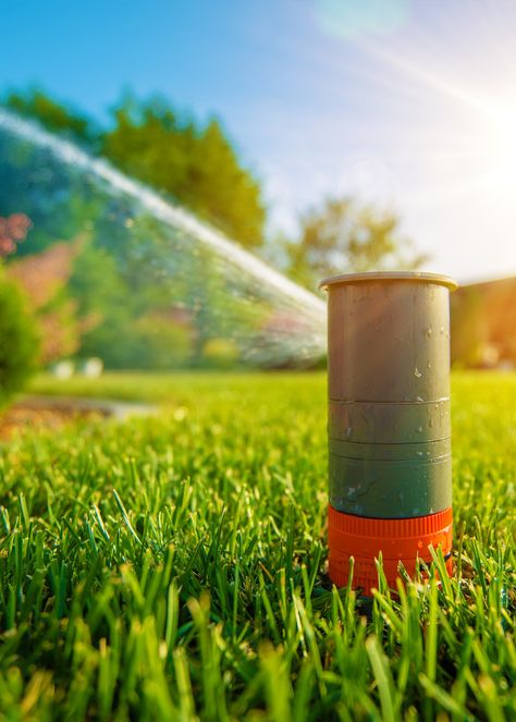 Texas Lawn Sprinklers Lawn Sprinkler System, Sprinkler Repair, Lawn Sprinklers, Belly Fat Burner Drink, Flower Mound, Sprinklers, Sprinkler System, Fat Burner, Belly Fat