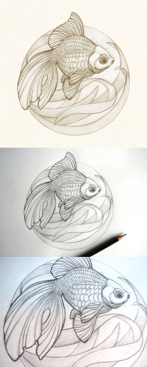 Ryukin Goldfish sketch by Catherine Noel Goldfish Sketch, Ryukin Goldfish, Embroidery Fish, Goldfish Tattoo, Decor Marin, Goldfish Art, Draw Faces, Drawn Fish, Geniale Tattoos