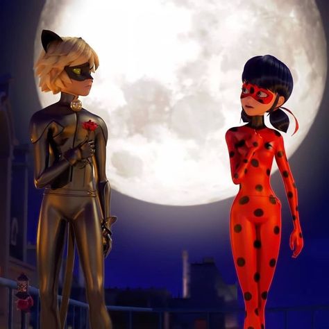 Catnoir And Ladybug, Ladybug Miraculous, Ladybug Wallpaper, Marinette And Adrien, Super Cat, Miraculous Ladybug Movie, Ladybug Comics, Miraculous Ladybug Comic, Miraculous Ladybug Anime