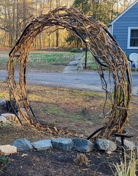 Yellow Jessamine, Old Trampoline, Labyrinth Garden, Garden Archway, Sacred Garden, Aquascape Design, Moon Gate, Prairie Garden, Dream Landscape