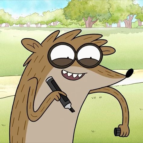 Rigby Pfp, Rigby Regular Show, Network Icon, Cartoon Network Shows, Regular Show, Teen Romance Books, Trash Panda, Good Cartoons, Cartoon Icons