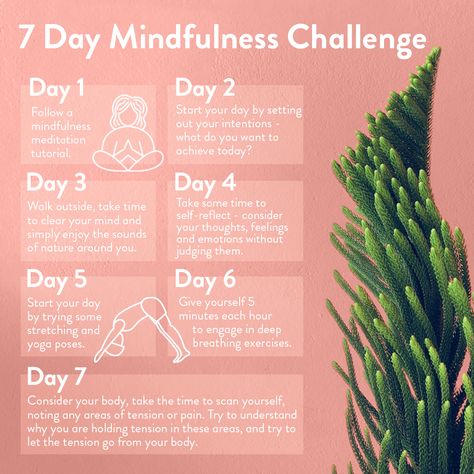 Transform yourself and get into your best mindset yet, with this 7 Day Mindfulness Challenge 🧘‍♀️🧘‍♂️ #mindfulness #meditation #challenge #myHB Mindfulness Challenge, Best Mindset, Meditation Challenge, Challenge Ideas, Transform Yourself, 7 Day Challenge, Deep Breathing Exercises, Yoga Day, Mindfulness Activities