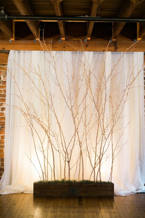 #backdrop  Photography: Sara Lucero - www.saralucero.com  Read More: http://www.stylemepretty.com/2014/07/07/forest-inspired-indoor-wedding/ Tree Branch Wedding, Takken Decor, Wedding Branches, Reception Backdrop, Wedding Backdrop Design, Wedding Wall Decorations, Backdrop Ideas, Wedding Wall, Rustic Wedding Dresses