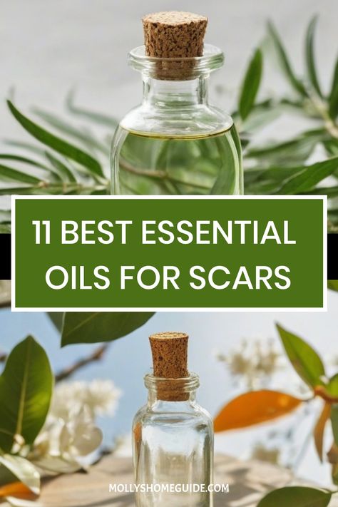 Discover the power of essential oils for scars in this DIY scar serum recipe. Using Frankincense oil, Helichrysum, Lavender, and more, create a healing roller bottle blend to reduce the appearance of scars. Incorporate Carrot seed oil, Tea tree, Myrrh, Chamomile, Patchouli or Sandalwood for effective scar fading results. Scar Healing Essential Oils, Scar Serum, Serum Recipe, Castrol Oil, Scar Remedies, Carrot Seed Essential Oil, Oils For Scars, Roller Bottle Blends, Helichrysum Essential Oil