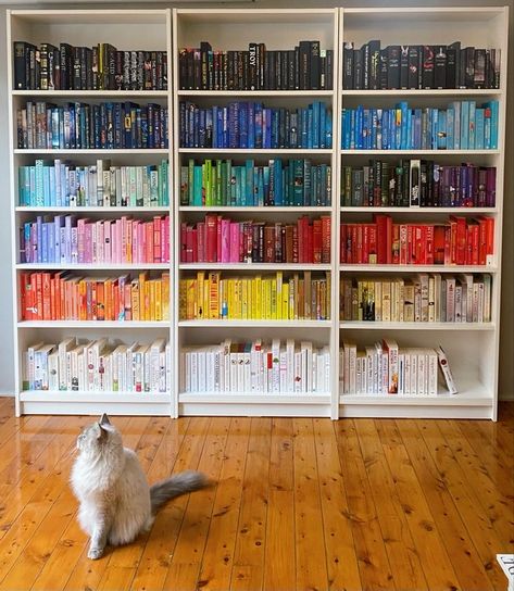 Book Shelf Colour Coordinated, Books Organised By Colour, Color Coordinated Books, Bookshelf Book Organization, Organize Books By Color, Colour Coordinated Bookshelf, Books Organization Aesthetic, Colour Organised Bookshelf, Bookshelves By Color