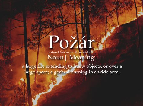 Words That Mean Fire, Phoenix Definition, Fantasy Names That Mean Fire, Fire Words, Names Meaning Fire, Female Names Meaning Fire, Words For Writers, Flight Rising, Behind The Screen