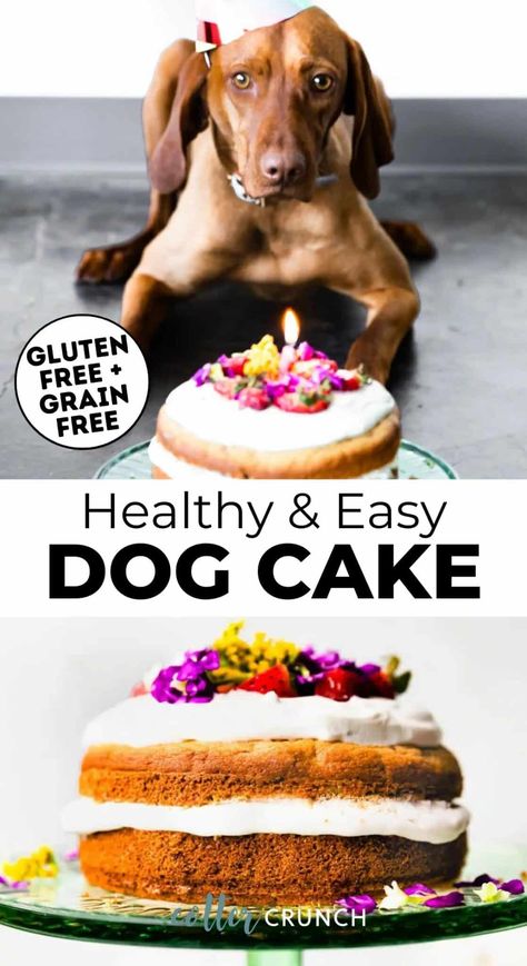 Dog Cake Recipe Easy, Healthy Dog Cake Recipe, Healthy Dog Cake, Peanut Butter Dog Cake, Easy Dog Birthday Cake, Easy Dog Cake, Birthday Dog Cake, Homemade Dog Cake, Dog Cake Recipe