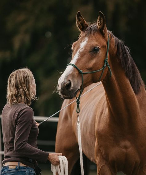 What is Parelli Natural Horsemanship? | Parelli Instruktoren Equestrian Aesthetic, This Kind Of Love, Natural Horsemanship, Western Aesthetic, Life Goals, Equestrian, Vision Board, Horses, Animals