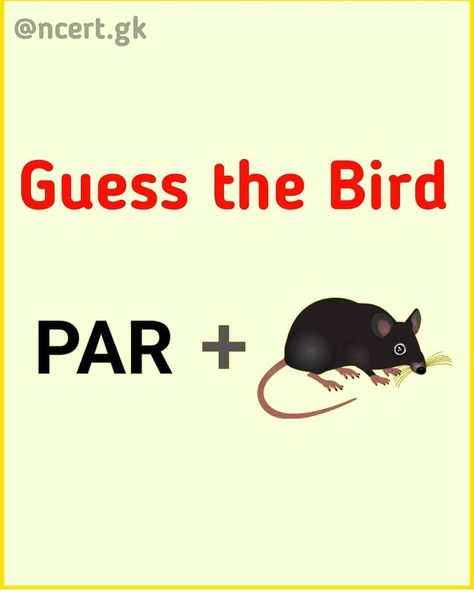 Brain Test Games, Hindi Poems For Kids, English Riddles, Funny Puzzles, Hindi Poems, Brain Based Learning, Brain Test, Test Image, Kids Puzzles