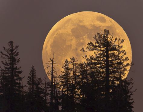 Nighttime Sky, Moon Orbit, Strawberry Moons, Meteor Shower, Super Moon, Lunar Eclipse, Beautiful Moon, To Infinity And Beyond, Science And Nature