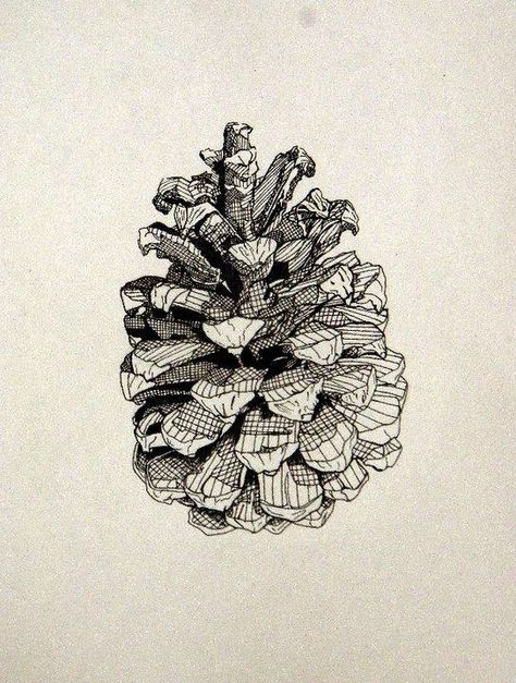 Cone Drawing, My Obsession, A Level Art, Ink Illustrations, Pen Art, Pine Cone, Art Class, Drawing Techniques, Ink Art