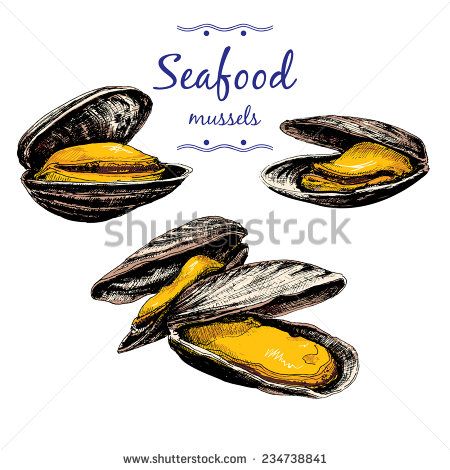 Seafood Art, Food Still Life, Sea Life Art, Fish Plate, Hand Drawn Vector Illustrations, Ink Sketch, Food Drawing, Drawing Easy, Food Illustration