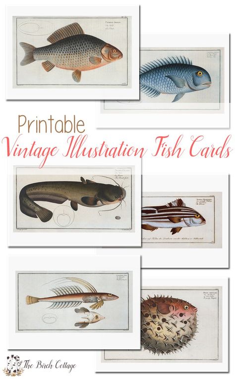 Printable Fish, Illustration Fish, Fish Printables, Fish Cards, Cards For Dad, Terrific Tuesday, Fishing Cards, Fishing Party, 50 Birthday