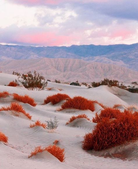 Back To Nature, Sand Dunes, Pretty Places, Shoot Ideas, The Desert, Nature Photos, Mother Earth, Beautiful Landscapes, The Great Outdoors