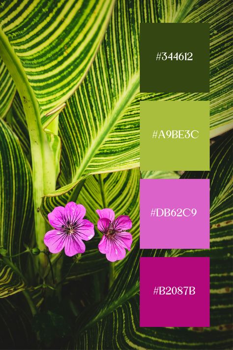 Green and Purple Color Palette: Vibrant green striped leaves with a pop of bright purple flowers, creating a lively and contrasting natural scene. Lime Green Palette Colour Schemes, Plant Color Scheme, Green Complimentary Color Palette, Vibrant Color Combinations, Purple Pink Green Color Palette, Green And Purple Color Scheme, Bright Green Color Palette, Green And Purple Palette, Purple Green Color Palette