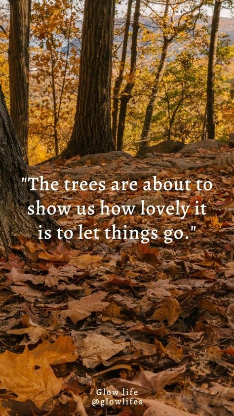 The Trees Are About To Show Us, Fall Letting Go Quotes, Nature Sayings, Autumn Sayings, Leaf Quotes, Fearless Quotes, Let Things Go, Scenic Pictures, Fall Road Trip