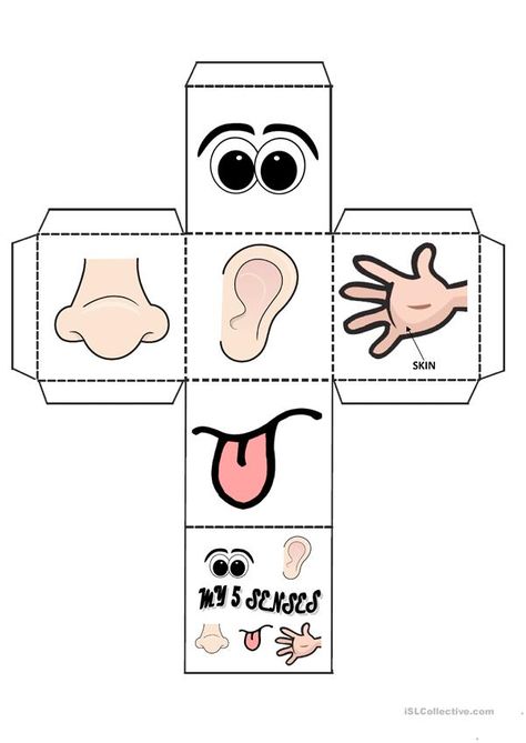 MY 5 SENSES GAME - English ESL Worksheets for distance learning and physical classrooms Five Senses Kindergarten, My 5 Senses, 5 Senses Preschool, 5 Senses Worksheet, Five Senses Worksheet, Five Senses Preschool, Preschool Activity Sheets, 5 Senses Activities, Senses Preschool