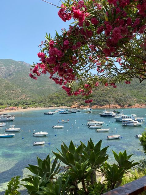 Euro summer | Corsica | beach | boat day | Corse | Mediterranean sea | Corsica Aesthetic, Mediterranean Summer Aesthetic, Boat Day, Beach Boat, Aesthetic Life, Euro Summer, Summer Glow, Future Travel, Summer Breeze