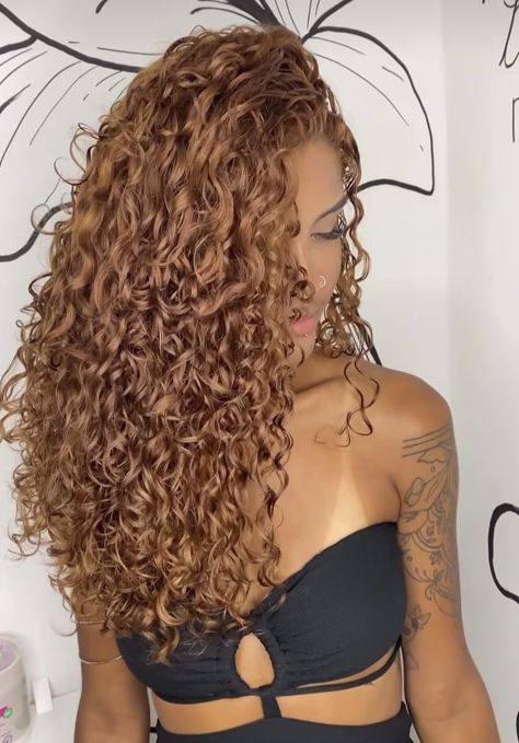 Highlight Hairstyle, Stunning Eye Makeup, Copper Hair Color Ideas, Light Brown Highlights, Dyed Curly Hair, Highlights Curly Hair, Honey Brown Hair, Brown Curly Hair, Dark Auburn