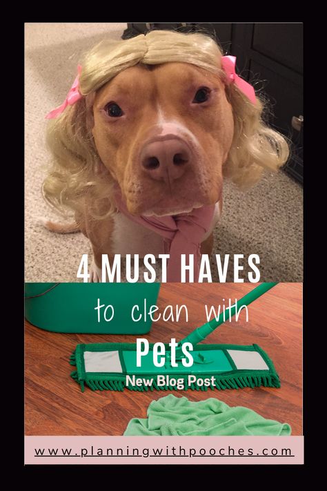 4 must have products I use to keep my house clean with pets Keep Your House Clean, Must Have Products, Urine Odor, Pet Stains, Clean Tile, Pit Bulls, Baby Wipes, Pet Parent, Pet Store