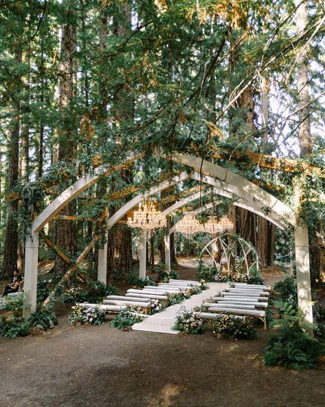 A Wedding With a Forest Ceremony and Dinner Party Reception Enchanted Forest Wedding Ceremony, Woods Wedding Ceremony, Wizard Wedding, Wooden Wedding Arch, Wooden Wedding Arches, Open Air Chapel, Forest Wedding Ceremony, Tree Grove, Forest Wedding Venue