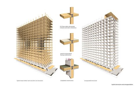 Gallery of Construction of the World's Tallest Timber Tower is Underway in Vancouver - 17 Wooden Skyscraper, Timber Architecture, Wooden Architecture, University Of British Columbia, Timber Buildings, Wood Building, Wood Architecture, Wooden Buildings, Wooden Structure