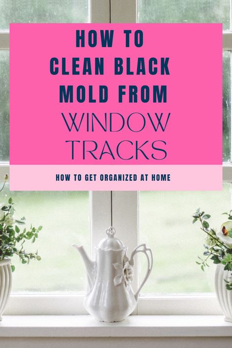 Cleaning Black Mold From Windows, Window Track Cleaning Hacks, How To Clean Window Tracks, Clean Black Mold, Using Vinegar To Clean, Cleaning Window Tracks, Mold Spray, Black Window Frames, Black Mold